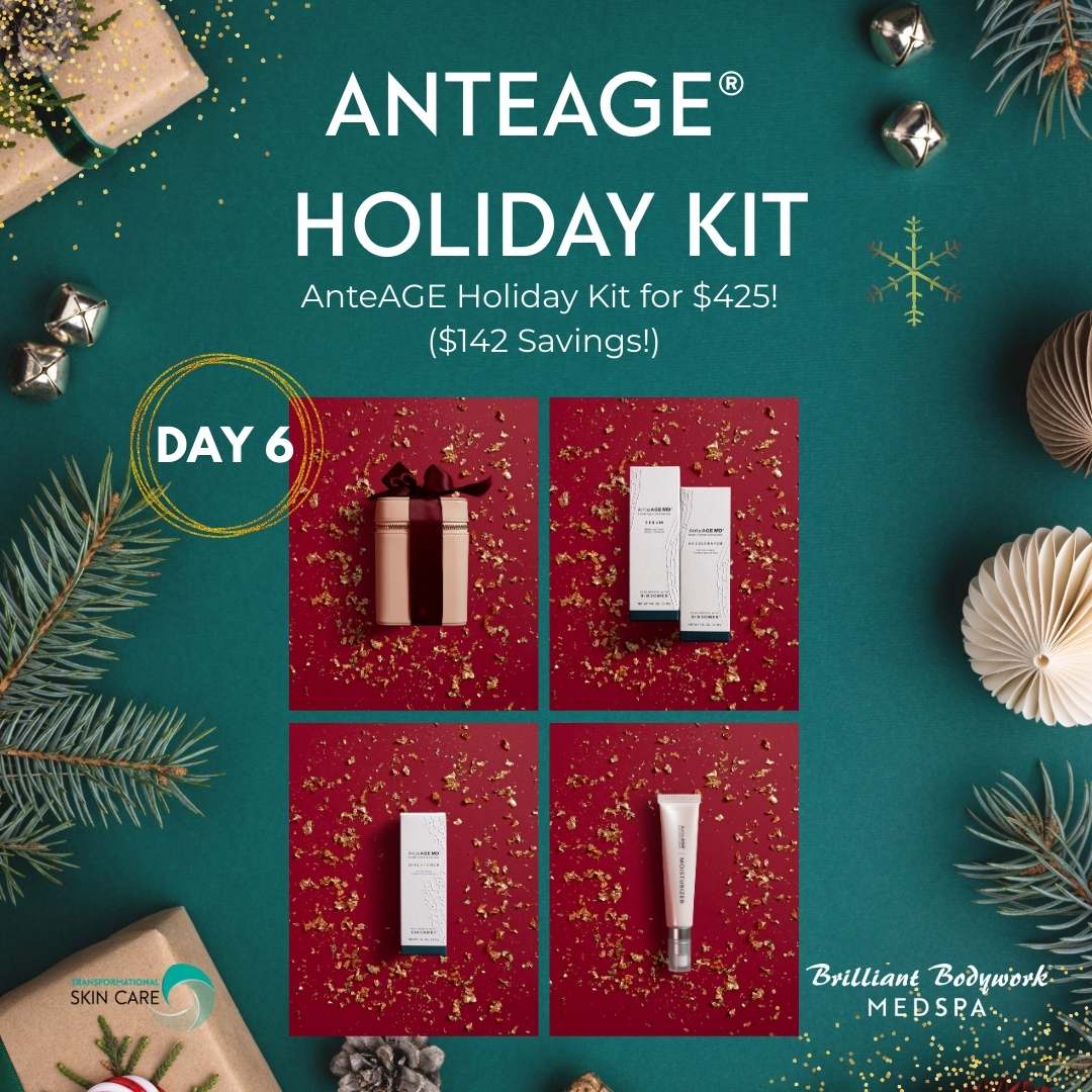 Day 6 - Holiday Kit