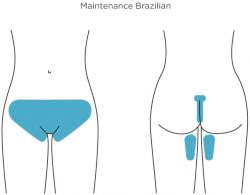 illustration showing Brazilian was 630.jpg